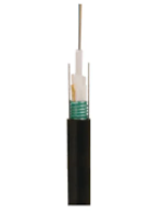 Prolink
  PL-FOC12-OS2 Single Armor Central Loose Tube Fiber Cable 12 Core OS2 9/125
  OD:10MM Steel Wire