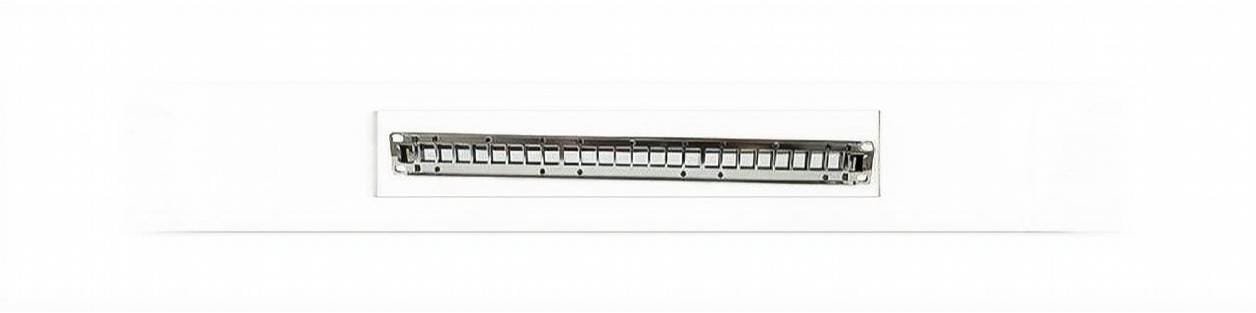 WhatsApp Image 2026-02-22 at 1.20.40 PM PL-PP24-FTP-WM باتش بانل 24 بورت FTP مع منظم كابلات فارغ - الصورة 1