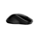 HP 250 Dual Wireless Mouse (Black) - Image 2