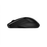 HP 250 Dual Wireless Mouse (Black) - Image 3